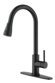 Kitchen Faucet with Pull Out Spraye